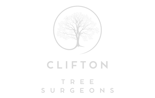 Clifton Tree Surgeons